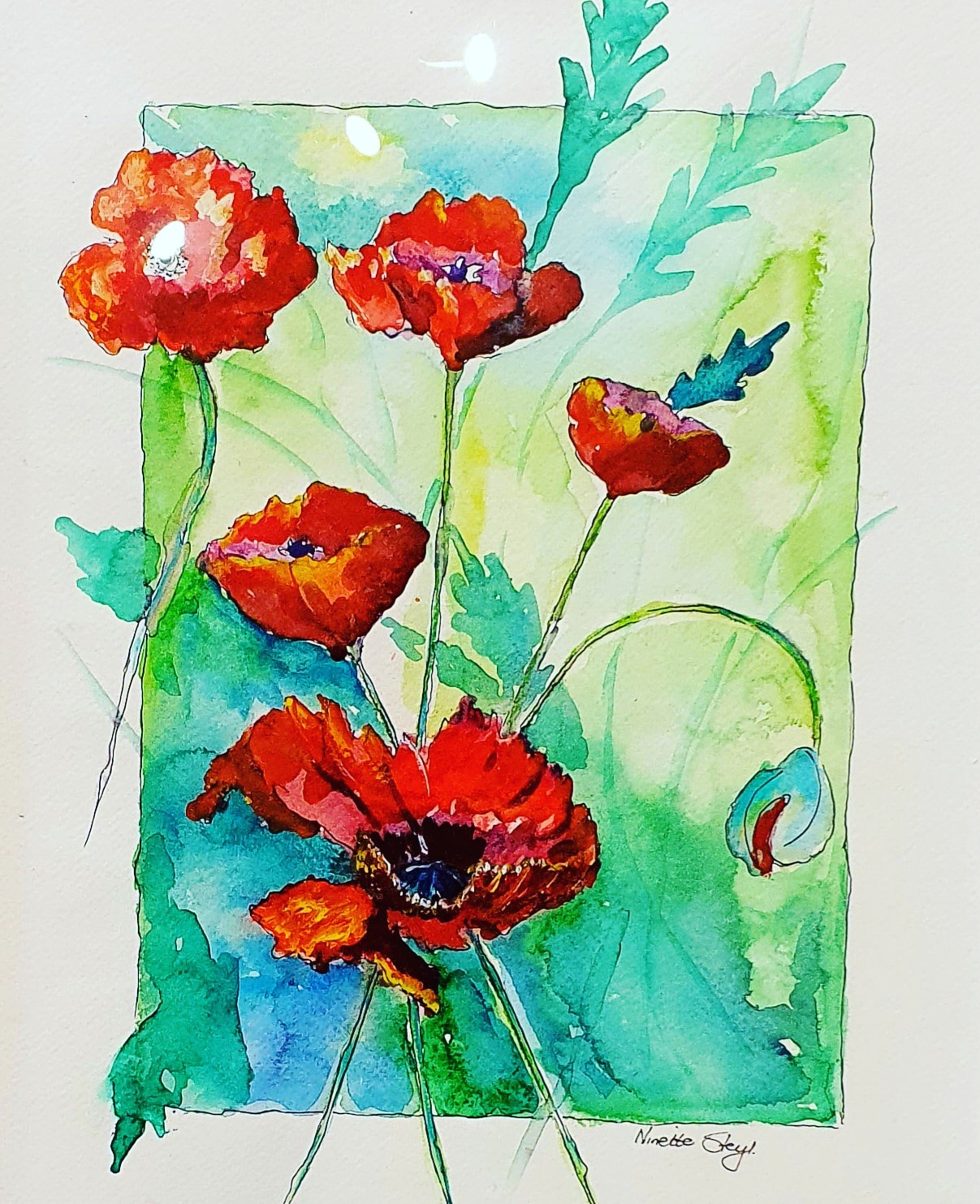 Red Poppies